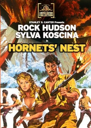 NINHO  DE VESPAS [Hornet's Nest]